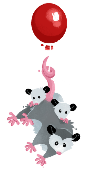 A possum parent and two possum kids hanging from the iconic red balloon
